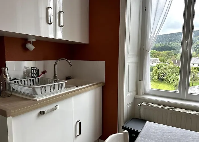 Holiday home Maison Familiale Au Coeur Des Volcans D'auvergne *